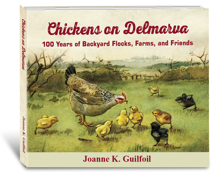 Chickens on Delmarva - 100 year history
